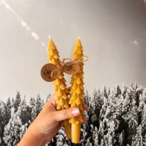 Tree Taper Candles