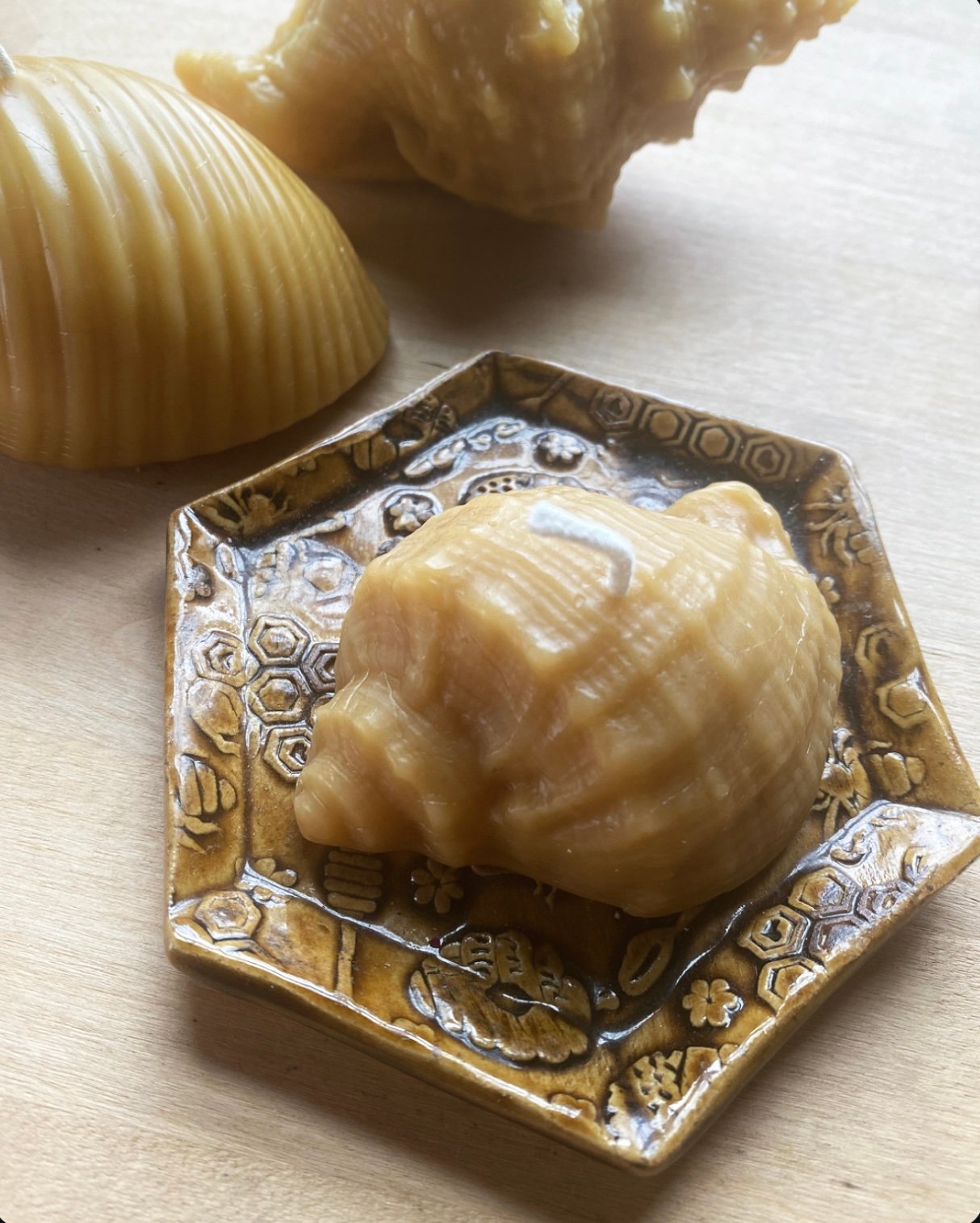 Mini Conch Seashell Candle