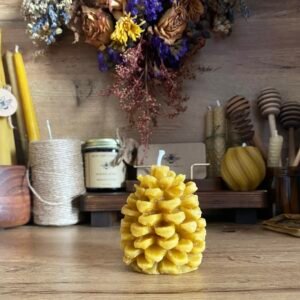 Pinecone Candle