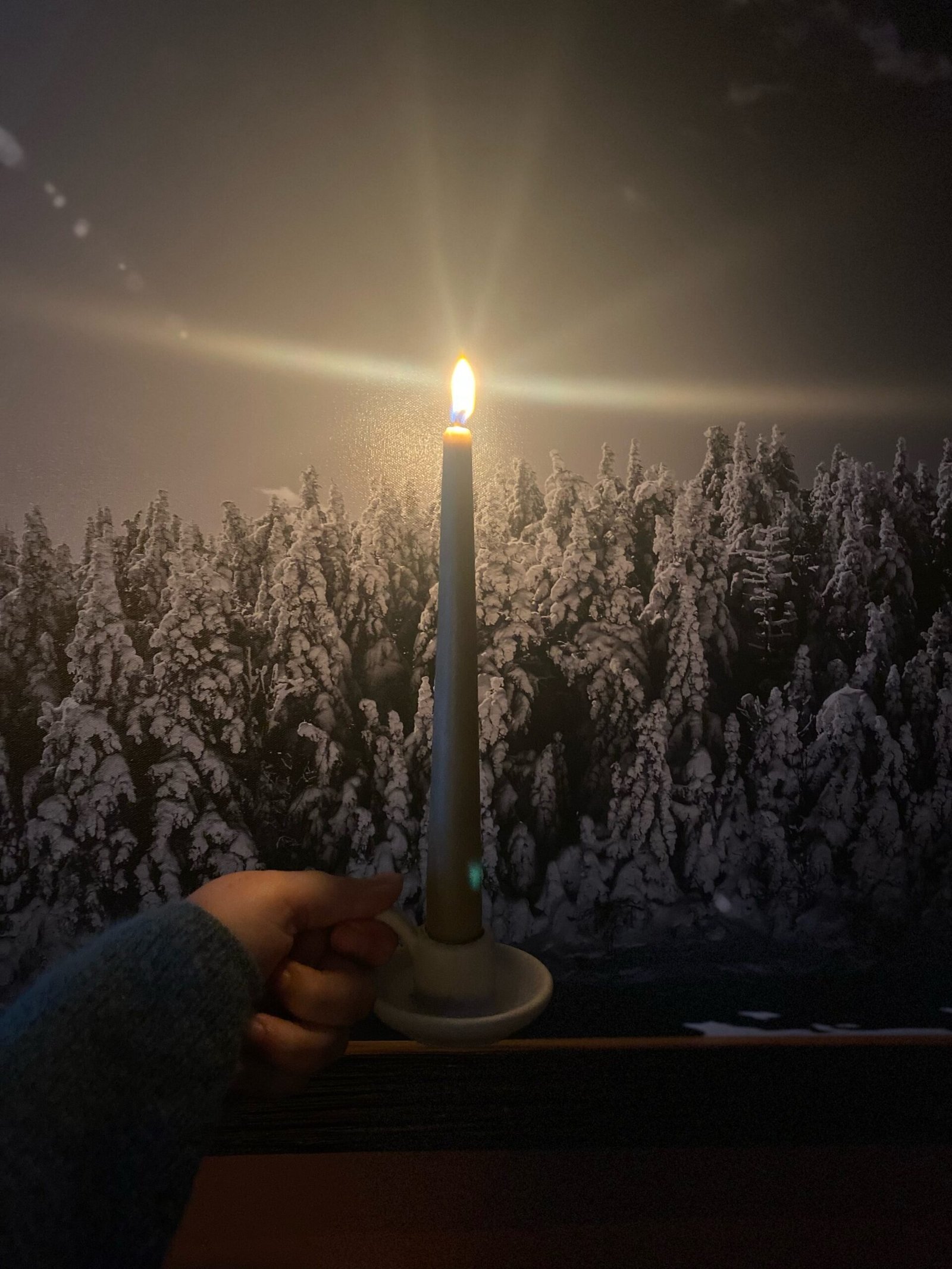 Bayberry Taper Candles - Image 3